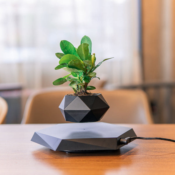 Floating Magnetic Levitating Flower Pot